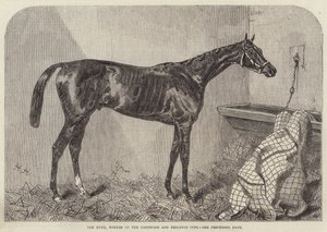The Duke, winnaar van de Goodwood en Brighton Cups door Harry Hall
