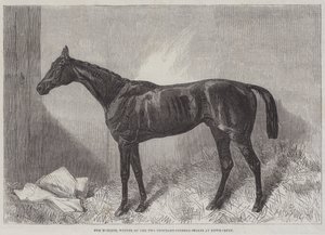 De Markies, Winnaar van de Two Thousand Guineas Stakes in Newmarket