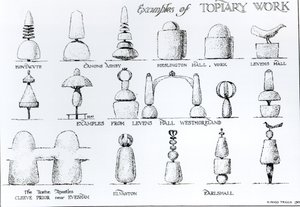 Voorbeelden van topiary werk