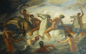 De Zeerace