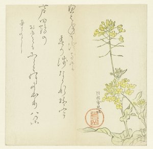 Bloemen door Hasegawa Settan