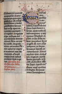 Evangelieboek met Evangelistenportretten: Gedecoreerde Initiaal door Hausbuch Master