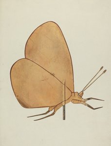 Vlinder windvaan, ca. 1938 door Hazel Hyde