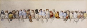 Een zitstok van vogels, ca. 1880