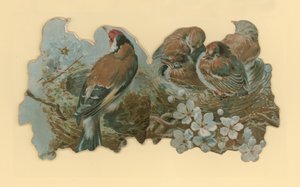 Vogels