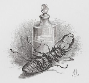 Het insect: Dode kever (gravure)