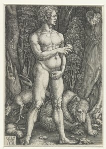 Adam door Heinrich Aldegrever