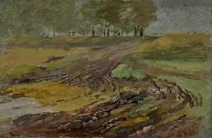 Karrensporen in het veld