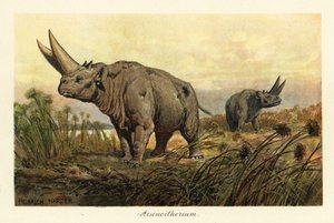 Arsinotherium, uitgestorven geslacht van paenungulate zoogdier door Heinrich Harder