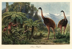 Moa-vogels die worden gejaagd door mannen met bogen en pijlen