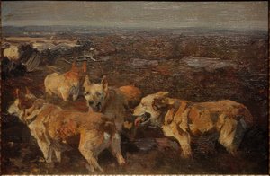 Honden