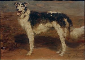 Windhond door Heinrich von Zügel