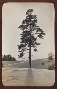 Eerste Wereldoorlog: Oekraïne in de jaren 1914-1916 tijdens de invasie van het Duitse leger. Landschap met sneeuw door Heldenfriedhof Dsessentniki (attr. to)