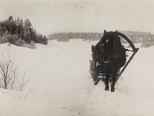 Eerste Wereldoorlog: Oekraïne in de jaren 1914-1916 tijdens de invasie van het Duitse leger. Een paardenslee in de sneeuw door Heldenfriedhof Dsessentniki (attr. to)