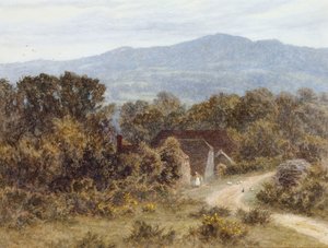 Hindhead vanaf Sandhills, Witley