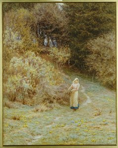 In het Primrose-bos