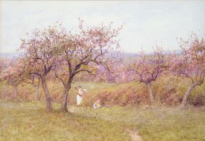 Lente in Dorset