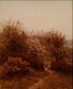De Boomgaard in de Lente