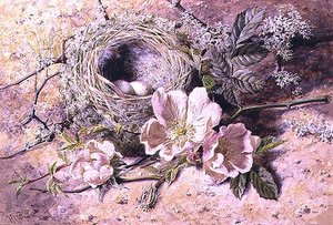 Bloesem en vogelnest