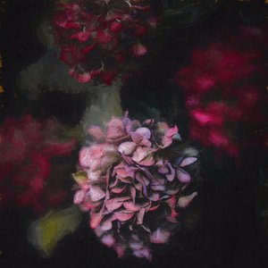 Bloeiend door Helen White
