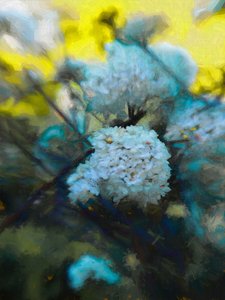 Bloeiende Meitijd, 2019 door Helen White