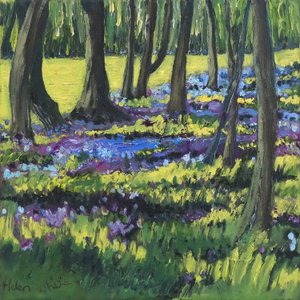 Bluebell Bos, 2008