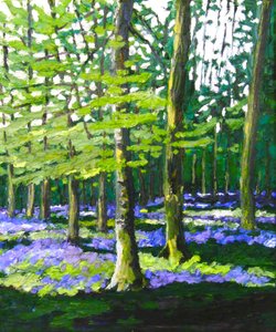 Bluebell Wood, 2009 (olieverf op doek)