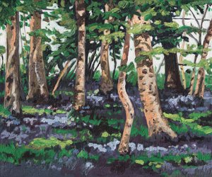 Bluebell Bos, 2009