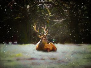 Kerst Hert, 2019 door Helen White