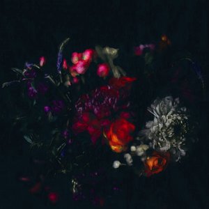 Donkere bloemen
