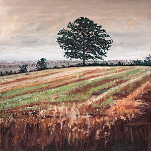 Laat Middagveld, 2009 door Helen White
