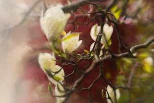 Magnolia, 2018
