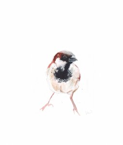 Mannetje mus I door Helen White