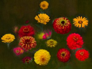 Uitzonderlijke schoonheid door Helen White