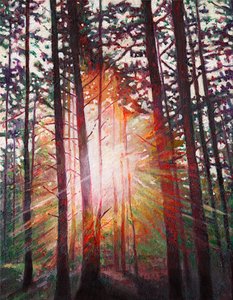 Zonnestraal door Helen White