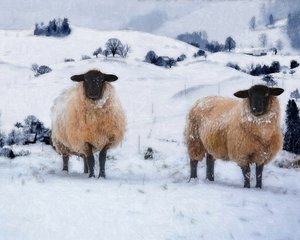 Winterjassen door Helen White