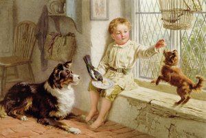 Vrienden door Helena J. Maguire