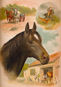 Het Paard, ca. 1900 door Helena J. Maguire