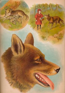 De wolf, c1900 door Helena J. Maguire