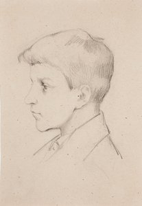  door Helene Schjerfbeck
