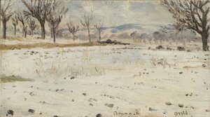  door Helmer Osslund