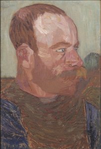  door Helmer Osslund