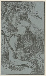 Johannes de Doper in de wildernis