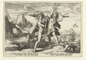 Daphne verandert in een laurierboom