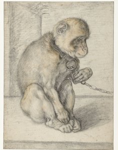 Een zittende aap aan een ketting door Hendrick Goltzius