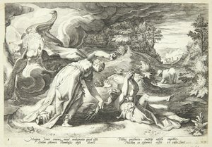 Juno verandert Kallisto in een beer
