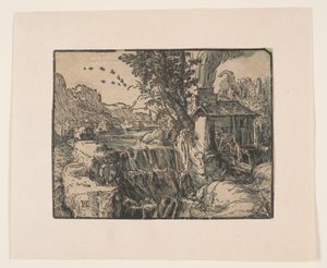 Landschap met waterval