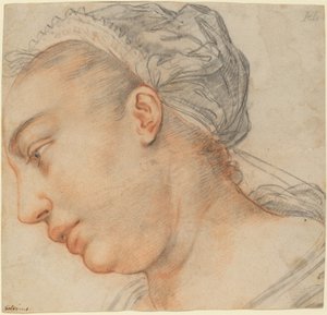 Hoofd van een jonge vrouw door Hendrik Goltzius
