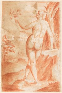 Studie van een Naaktfiguur Buiten door Hendrik Goltzius