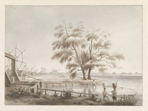 Gezicht op een plantage met links een sluis